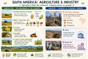South America: Agriculture & Industry