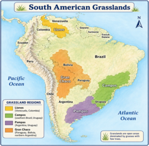 South America Grasslands