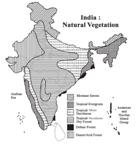 Natural Vegetation