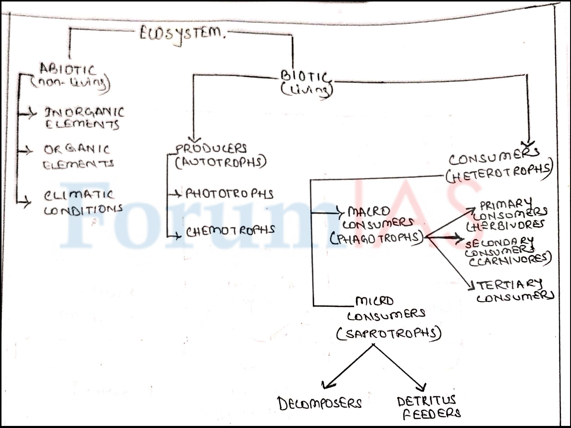 Structure of an Ecosystem