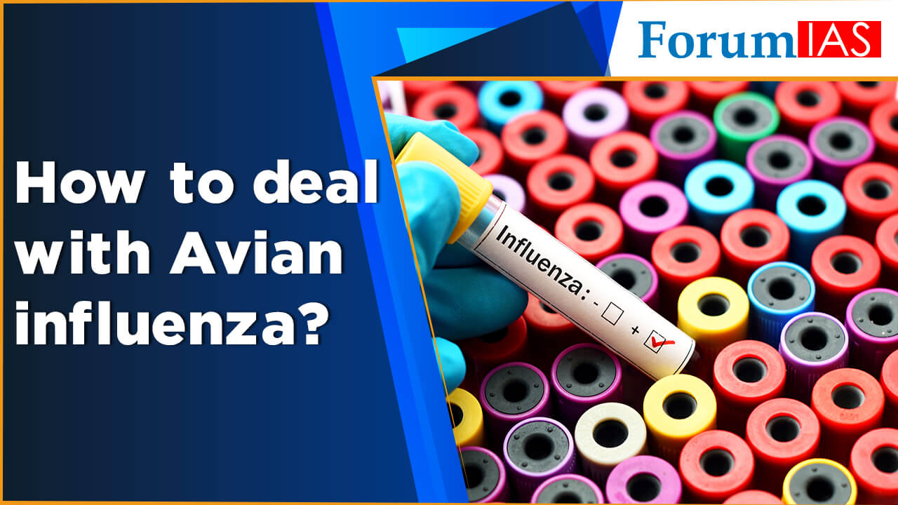 How to deal with Avian influenza? |ForumIAS Blog