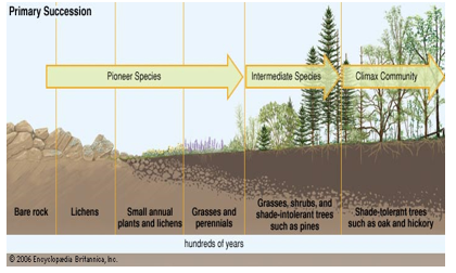 Ecology, and Ecosystem |ForumIAS