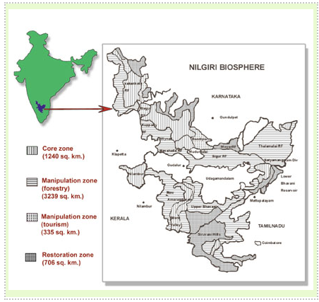 Nilgiri Biosphere reserve