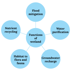 Ecology, and Ecosystem |ForumIAS