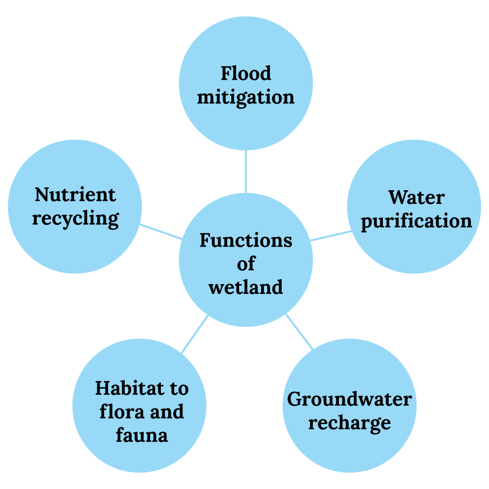 Ecology, and Ecosystem |ForumIAS