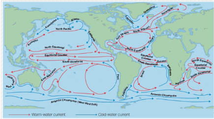 Which of the following are “Cold Ocean Currents”? 1. The Gulf Stream 2 ...