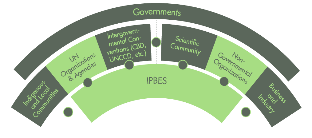 Structure of IPBES UPSC