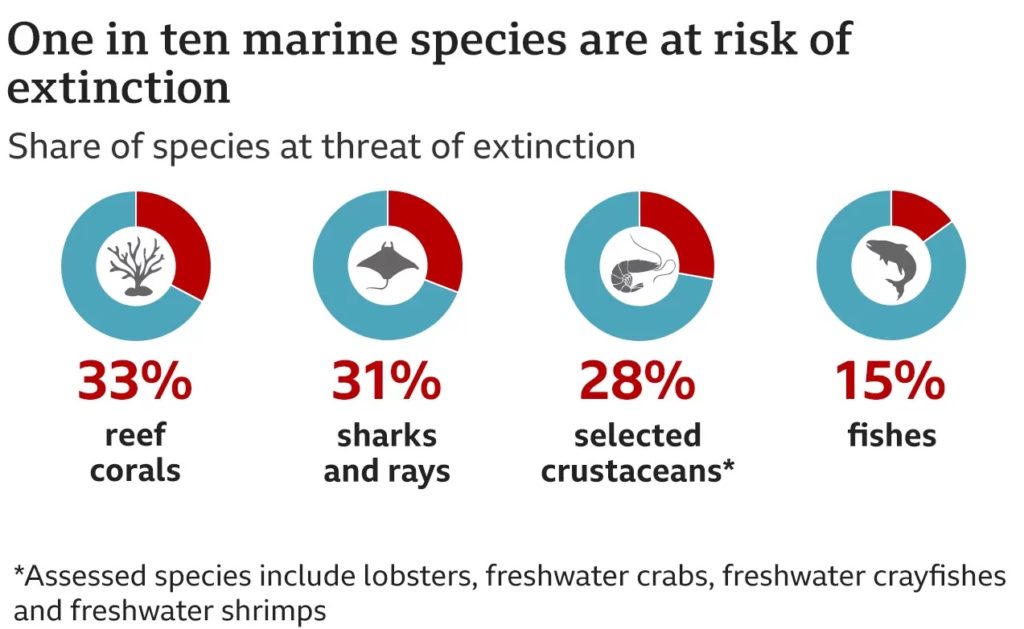 Species under threat of extinction High Seas Treaty UPSC