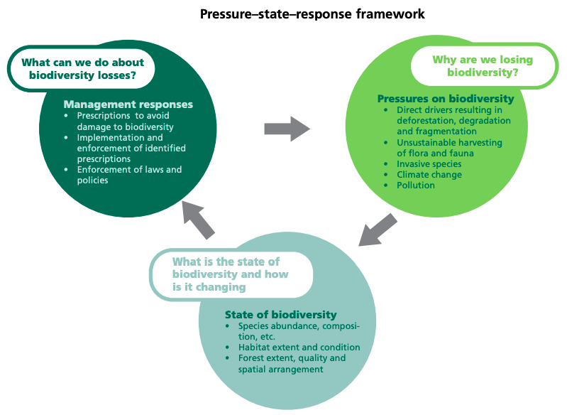 Pressure State Response Framework Mainstreaming Biodiversity UPSC