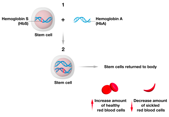 Gene Addition Approach to Gene Therapy