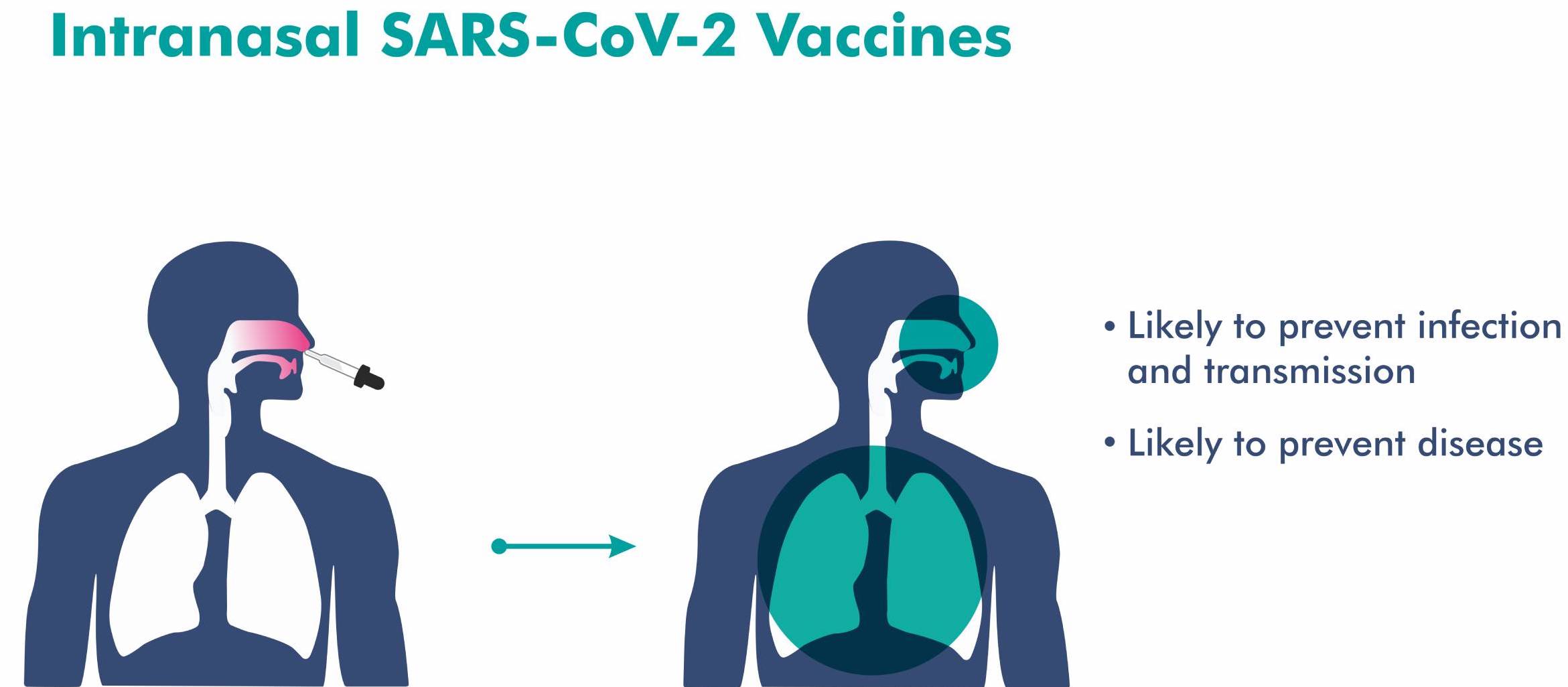 Confining Virus to Nasal Tract Nasal Vaccine COVID-19 UPSC