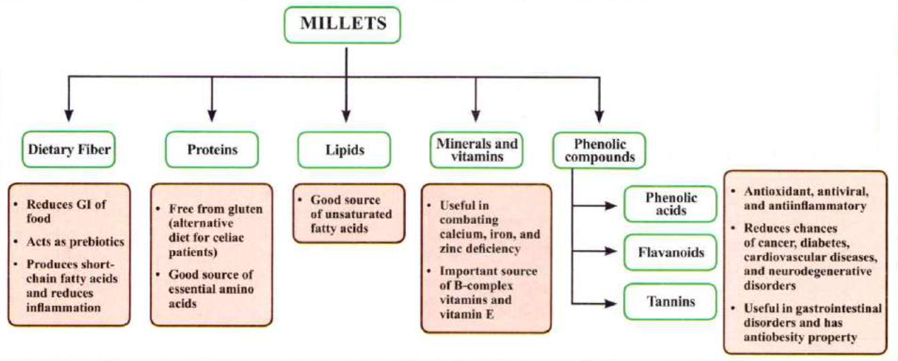 Phytochemicals present in Millets and Health Benefits UPSC