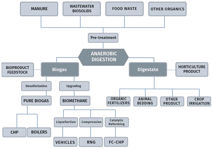 Uses of Biogas