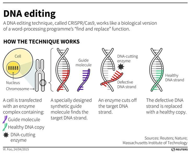 Human genome editing