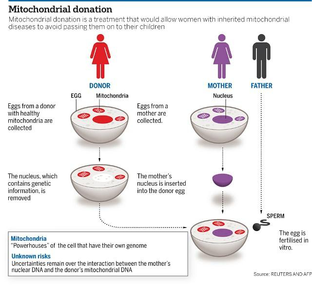 Mitochondrial Donation Treatment (MDT)