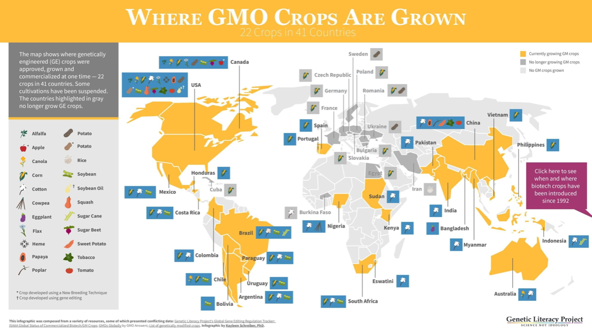 Transgenic Crops permitted around the world