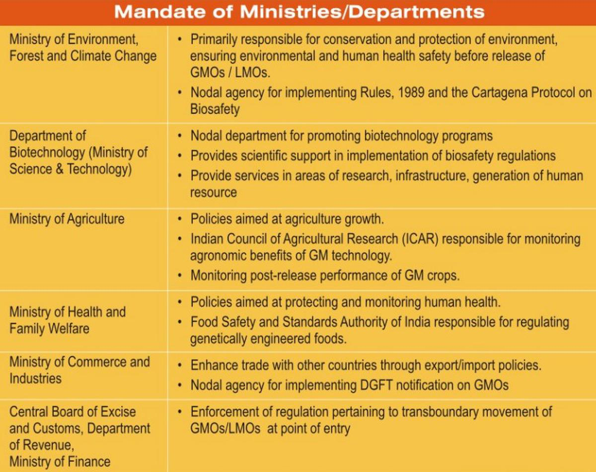 Regulation of Transgenic Crops in India