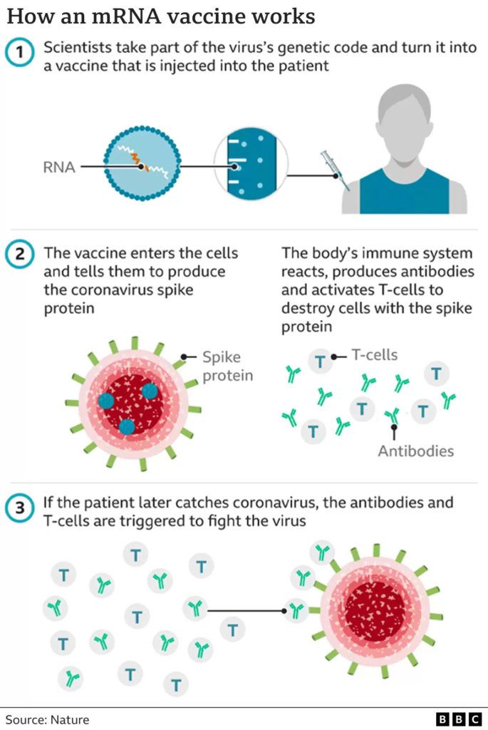 Medicine Nobel 2023 goes to duo who paved the way for mRNA COVID ...