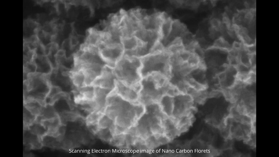 Carbon Nanoflorets