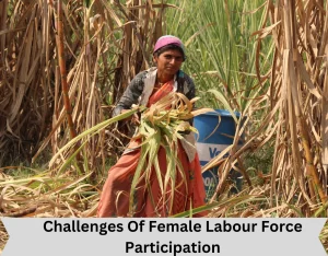 Challenges Of Female Labour Force Participation