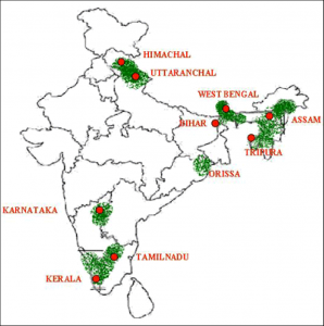 Tea Industry in India |ForumIAS