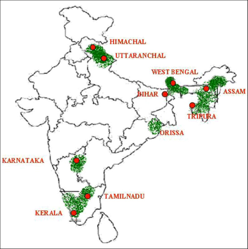 Tea Industry in India ForumIAS