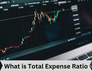 What is Total Expense Ratio