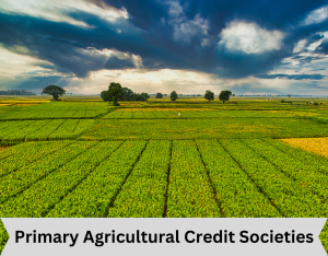 Primary Agricultural Credit Societies