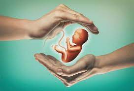 Surrogacy Rules amedment