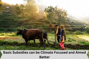 Basic subsidies can be climate focused and aimed better