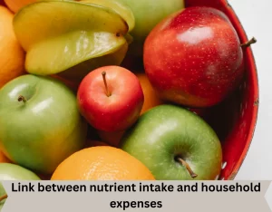 Link between nutrient intake and household expenses

