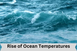 Rise of ocean temperatures