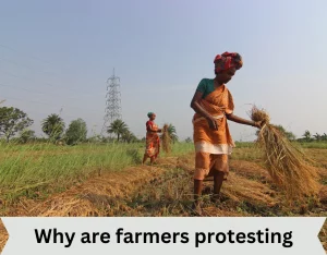 Why are farmers protesting