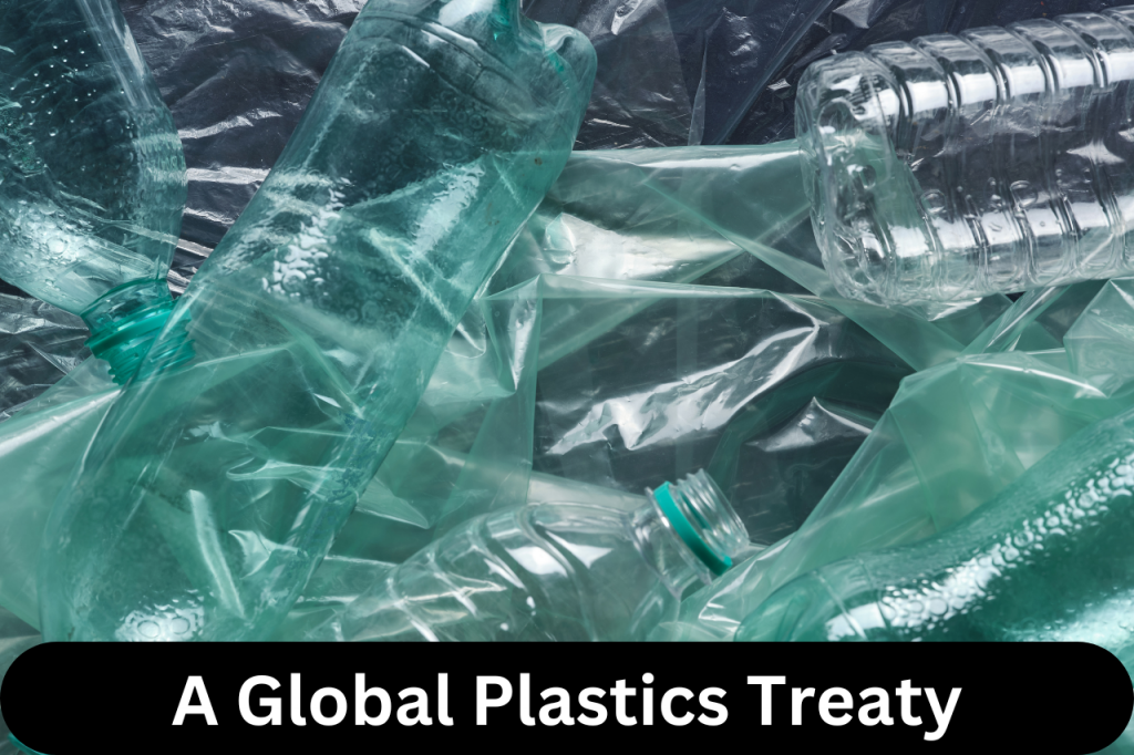 A Global Plastics Treaty |ForumIAS