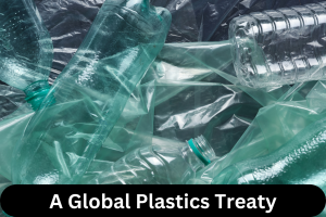 A Global Plastics Treaty