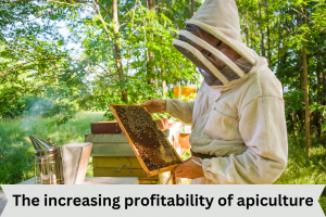 The increasing profitability of apiculture