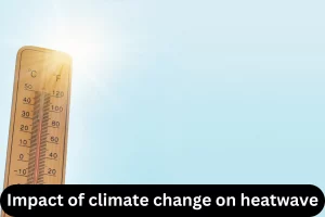 Impact of climate change on heatwave