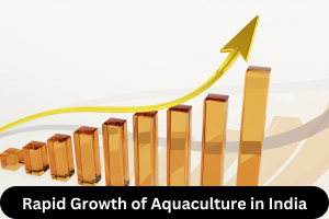 Rapid Growth of Aquaculture in India