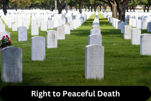 Right to Peaceful Death