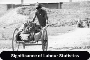 Significance of Labour Statistics