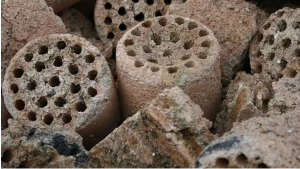 Biomass briquettes