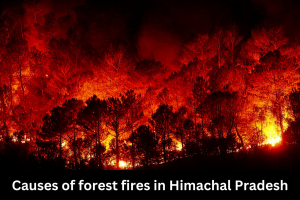 Causes of forest fires in Himachal Pradesh