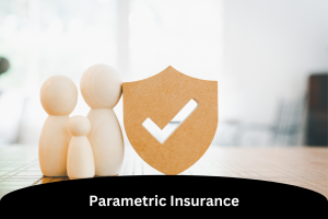 Parametric Insurance