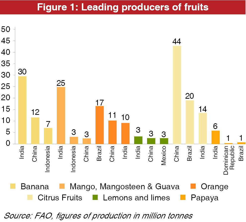 Horticulture Sector in India