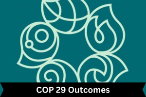 COP 29 Outcomes