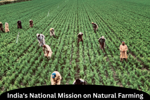 India's National Mission on Natural Farming