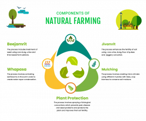 Natural Farming