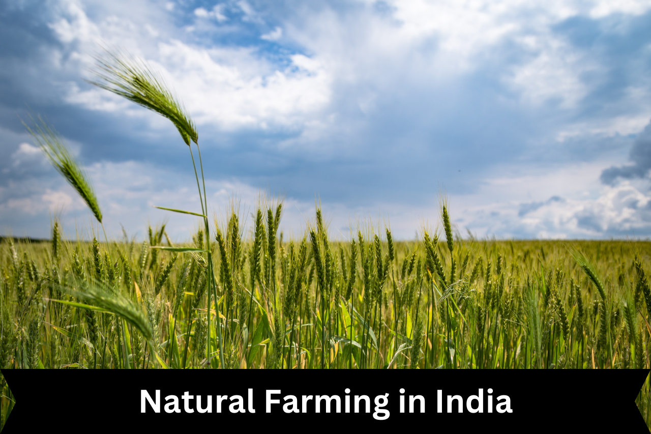 Natural Farming in India |ForumIAS