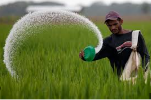 Indian soil health Fertiliser sector role