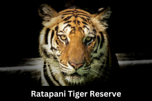 Ratapani Tiger Reserve